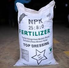 छत्तीसगढ़ सरकार ने डीएपी की कमी पूरा करने पुख्ता वैकल्पिक व्यवस्था की