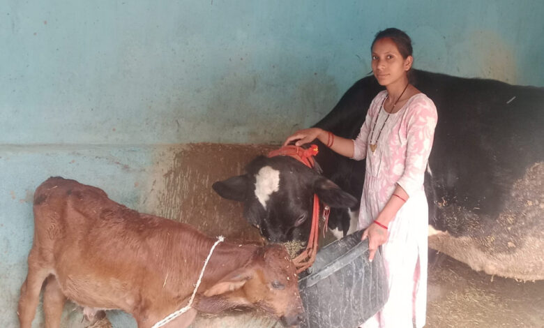 मेडिकल लैब से माटी तक, आरती ने पशुधन से लिखी सफलता की नई कहानी, अच्छी नौकरी छोड़ गांव में रचा आत्मनिर्भरता का मॉडल…. मेडिकल लैब से माटी तक, आरती ने पशुधन से लिखी सफलता की नई कहानी, अच्छी नौकरी छोड़ गांव में रचा आत्मनिर्भरता का मॉडल….