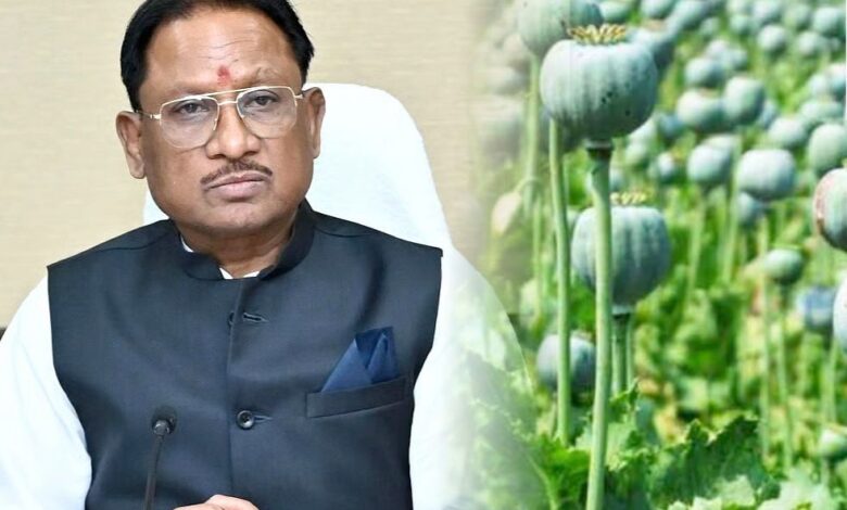 अफीम की अवैध खेती पर मुख्यमंत्री विष्णु देव साय का कड़ा रुख, सभी कलेक्टरों को सर्वे कर 15 दिवस में प्रमाण पत्र सहित रिपोर्ट देने के निर्देश…. अफीम की अवैध खेती पर मुख्यमंत्री विष्णु देव साय का कड़ा रुख, सभी कलेक्टरों को सर्वे कर 15 दिवस में प्रमाण पत्र सहित रिपोर्ट देने के निर्देश….