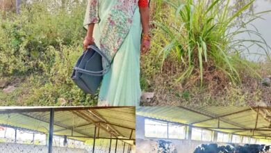 मछली पालन से बदली लक्ष्मी की जिंदगी, सढ़ौली की लक्ष्मी ठाकुर बनी आर्थिक सशक्तिकरण की मिसाल….