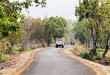 पोलमपल्ली से अरलमपल्ली सड़क बनने से खुश है ग्रामीण, नक्सल गढ़ में विकास की नई जीत….