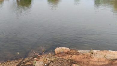नहरों से सूखते तालाबों में जलभराव : भीषण गर्मी से बड़ी राहत, 4755 तालाब हुए लबालब, ’मुख्यमंत्री साय की मंशा के अनुरूप सूखते तालाबों को जीवनदान देने जल संसाधन विभाग का विशेष अभियान….