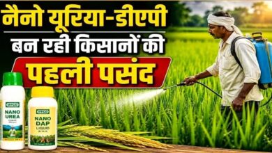 नैनो यूरिया और नैनो डीएपी से कम लागत में ज्यादा उत्पादन, नैनो उर्वरकों का संतुलित उपयोग मिट्टी में पोषक तत्वों को बनाए रखने में करता है मदद – किसान भूषण साहू….. नैनो यूरिया और नैनो डीएपी से कम लागत में ज्यादा उत्पादन, नैनो उर्वरकों का संतुलित उपयोग मिट्टी में पोषक तत्वों को बनाए रखने में करता है मदद – किसान भूषण साहू…..